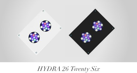hydra26