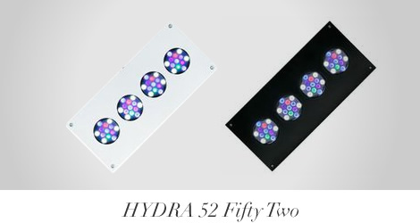hydra52