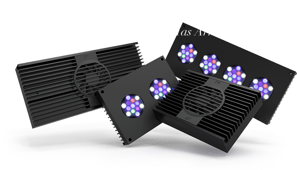 HYDRA :  the next generation has arrived