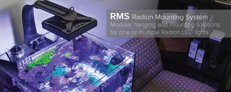 RMS single radion tank mount