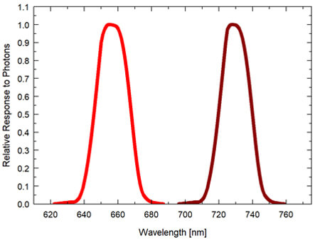 Graph showing the spectral response of the red - far-red sensor (spectral range of 645 to 665 nm ± 5 nm (red) and 720 to 740 nm ± 5 nm (far-red)).