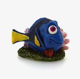 DORY WITH CORAL