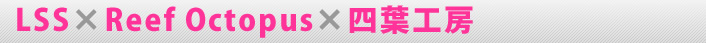 LSS*ReefIOctopus*�l�t�H�[