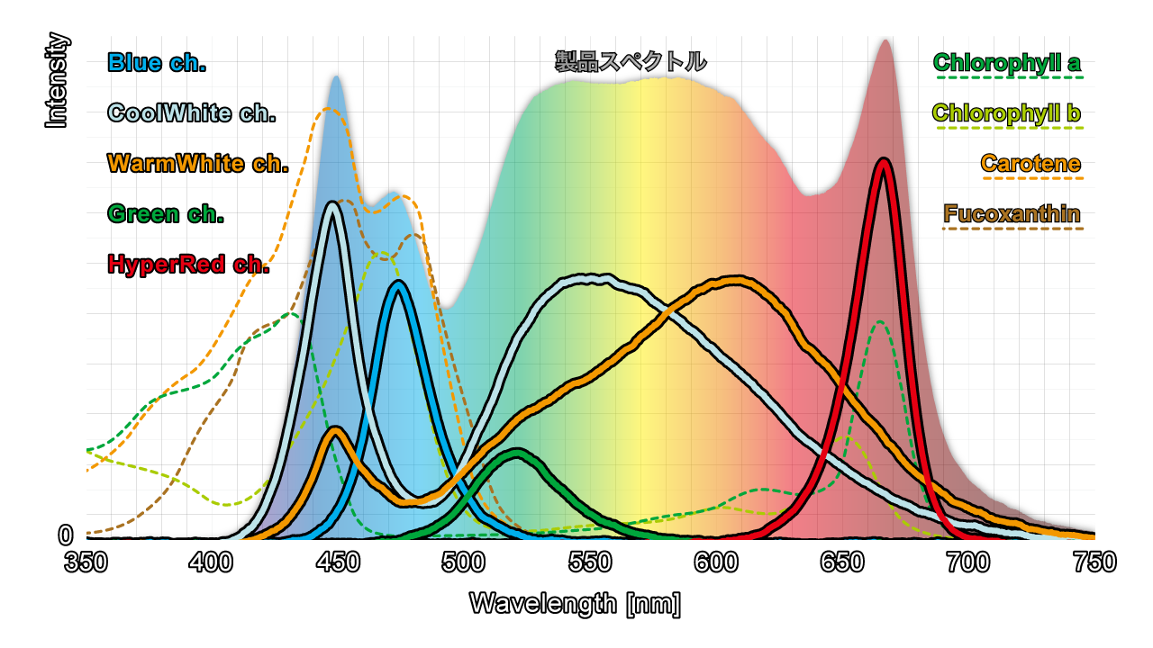 実測スペクトルと各光合成色素の吸収スペクトル比較