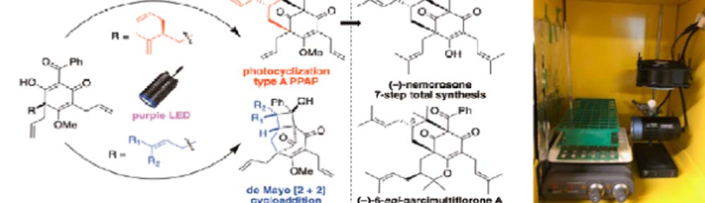 Direct Photoexcitation